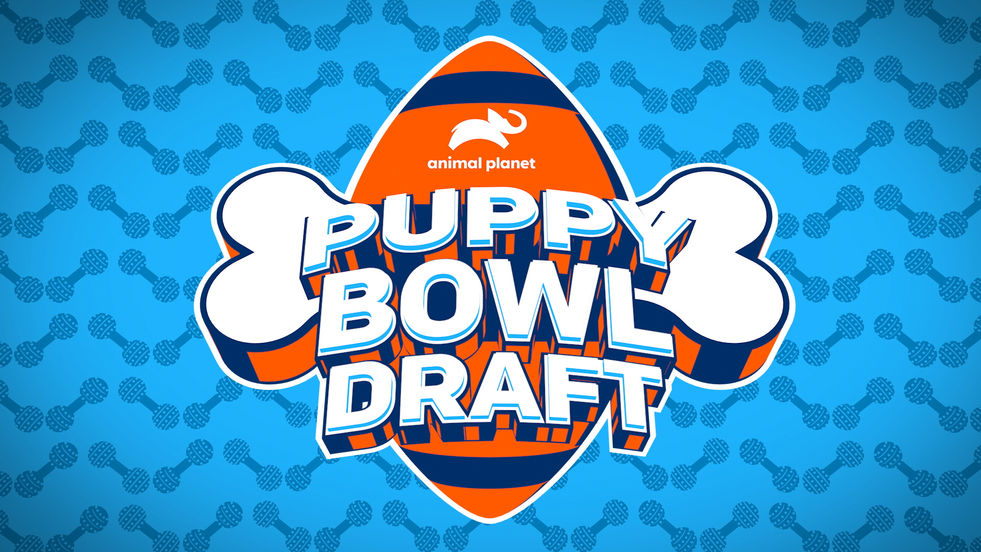Puppy Bowl Draft Open